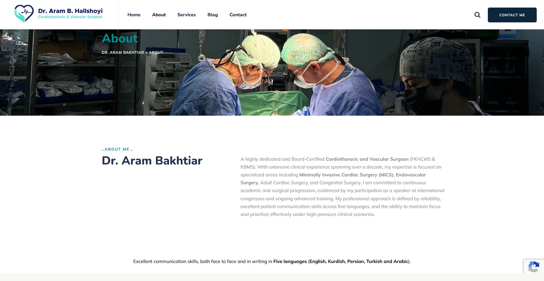 Dr. Aram Portfolio, view 2