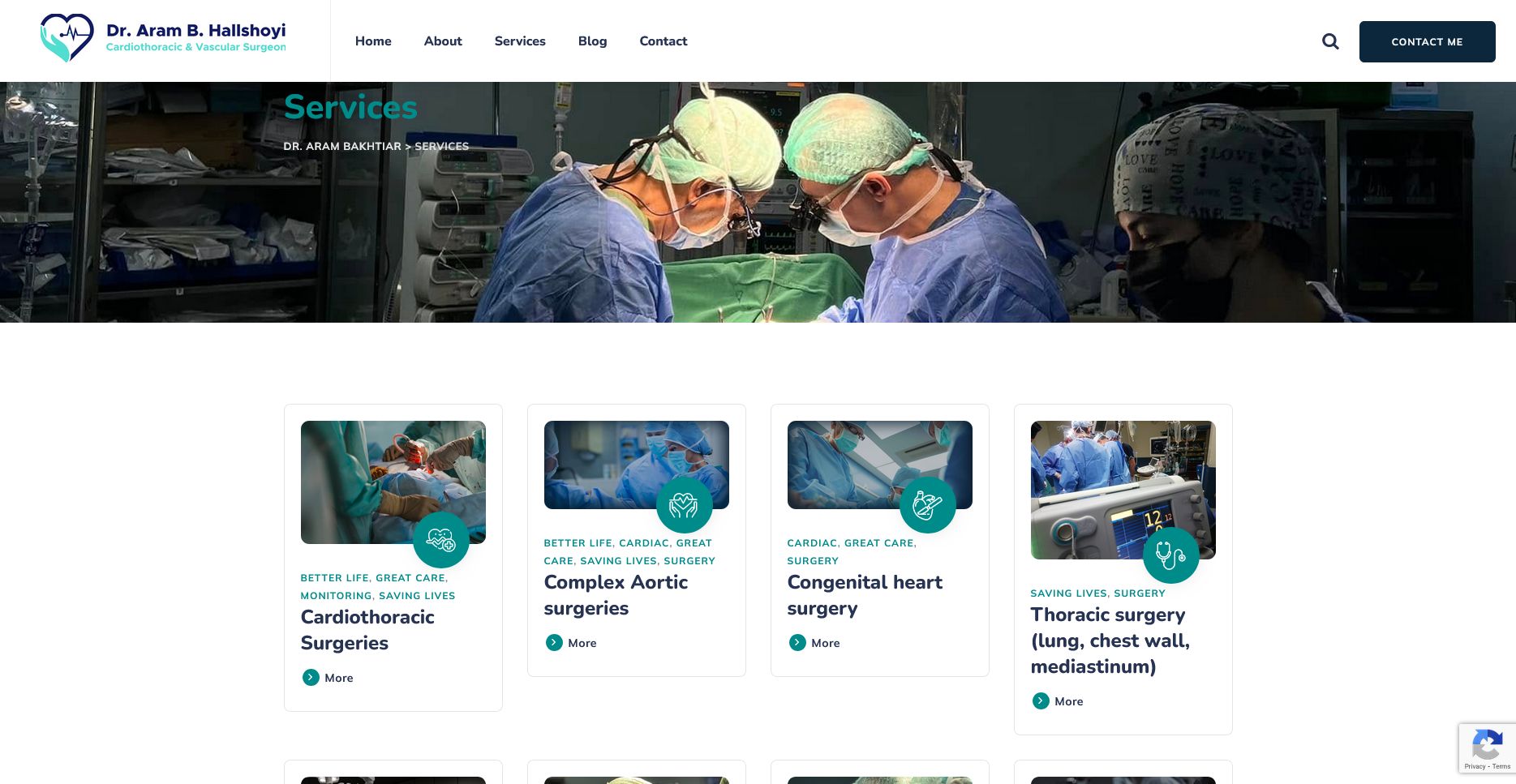 Dr. Aram Portfolio, view 3